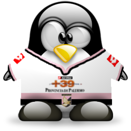 penguin pingouin pinguino 887